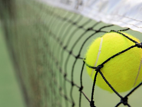 Ragam Berita tenis: Fakta Baru! Jaring Net Lebih Rendah Tingkatkan Kompetitif Petenis Wanita