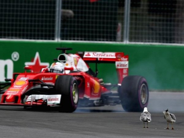 Berita F1: Review Tiga Pembalap Yang Bermasalah Saat Di Montreal