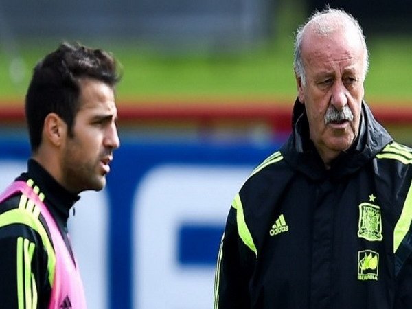 Berita Piala Eropa 2016: Cesc fabregas Memuji Kinerja Sang Pelatih Del Bosque