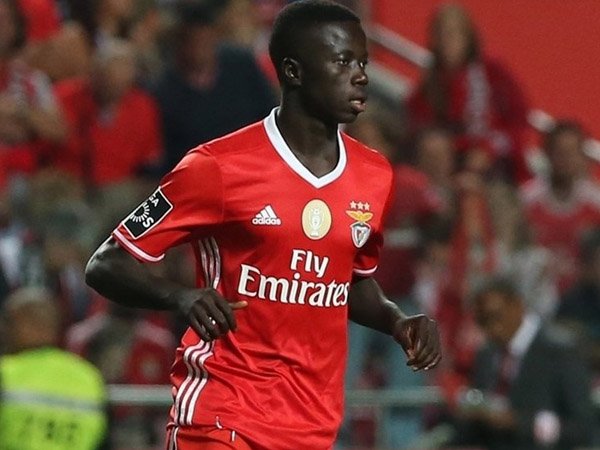 Berita Sepak Bola: Bocah Ajaib Benfica Raih Penghargaan Pemain Muda Berbakat UEFA Pekan ini