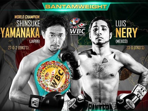 Berita Tinju: Jadwal Terkini Duel Perebutan Gelar Juara Tinju Dunia (per 12 Agu 2017)