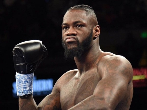 Hajar Stiverne Satu Ronde, Wilder Langsung Tantang Joshua
