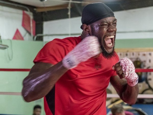 Manajer: Wilder Tak Masalah Lawan Joshua di Inggris