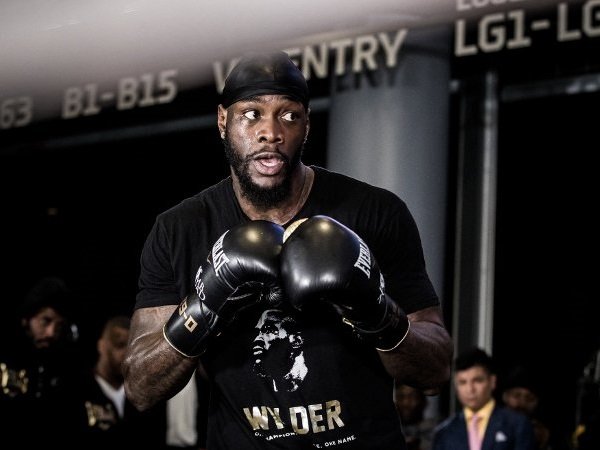 Presiden WBC: Fury Akan Jadi Lawan Berikut Wilder