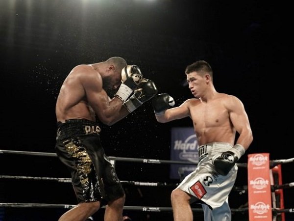 Taklukkan Pascal, Bivol Pertahankan Gelar Juara Berat Ringan WBA