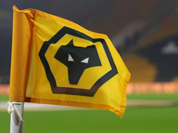 Merasa Karyanya Dicuri, Logo Wolves Digugat Seseorang