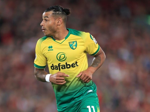 Absen Tiga Bulan, Pemain Norwich Ini Cedera Saat Berada di Rumah