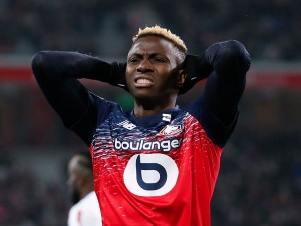 Lille Tegaskan Tak Akan Jual Murah Victor Osimhen