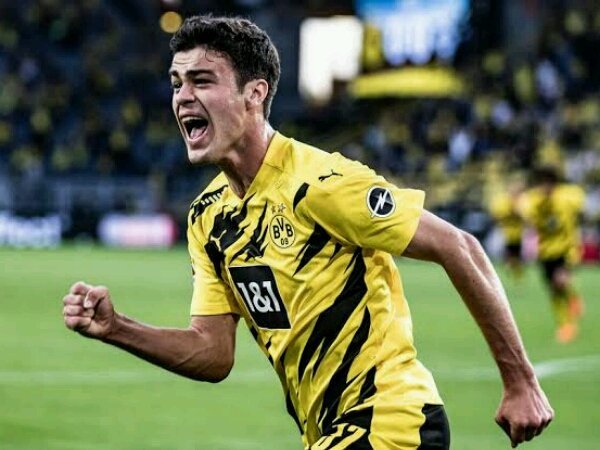 Bakat Claudio Reyna Menurun ke Gio Reyna