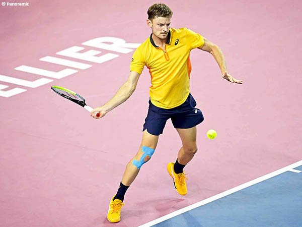 David Goffin melaju ke final Open Sudde France untuk kali pertama