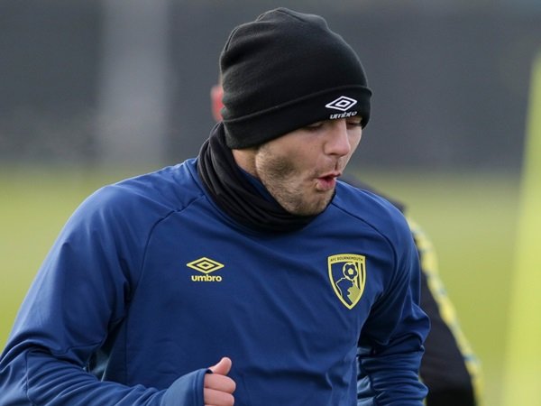 Wilshere