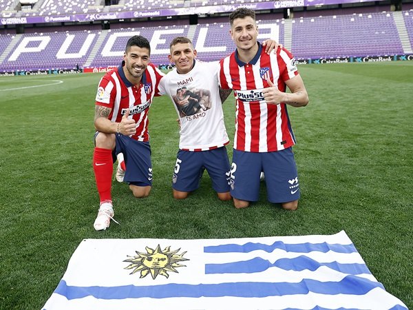 Torreira