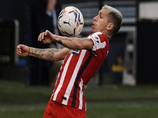 Torreira
