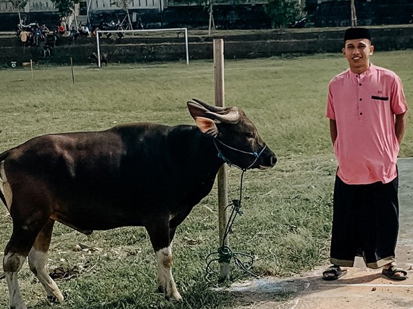 Irfan Jaya merayakan Idul Adha 1442 H di kampungnya, Makassar