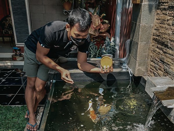 Kiper PSS Sleman, Ega Rizky memberi makan ikan koi miliknya