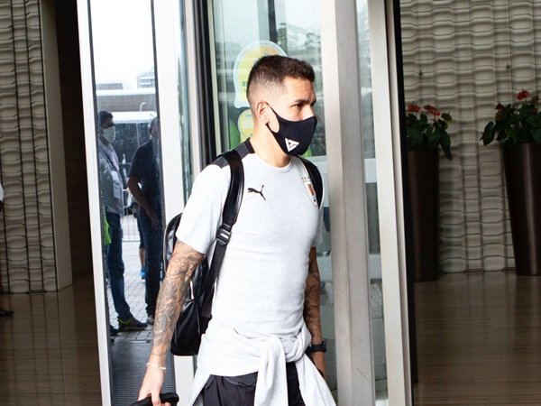 Torreira