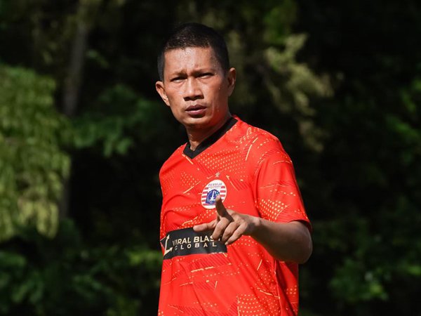 Pemain senior Persija Jakarta, Ismed Sofyan