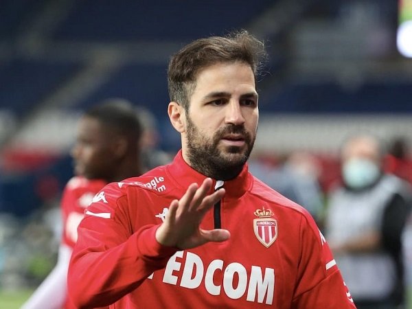 Cesc Fabregas
