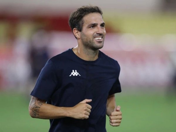 Cesc Fabregas (Sumber: Getty)