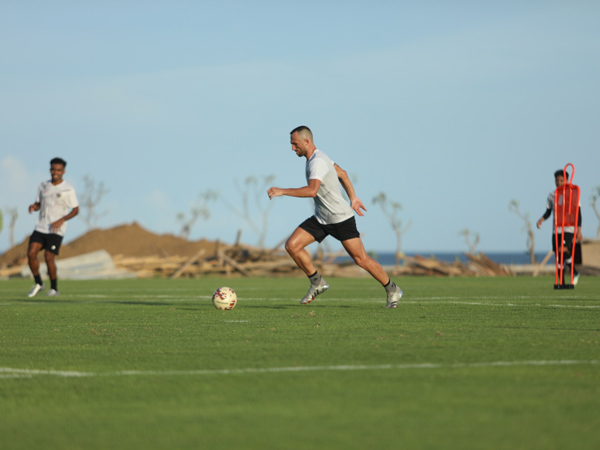 Penyerang naturalisasi timnas Indonesia