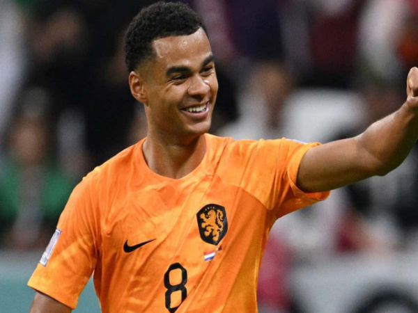 Bintang muda Timnas Belanda, Cody Gakpo.