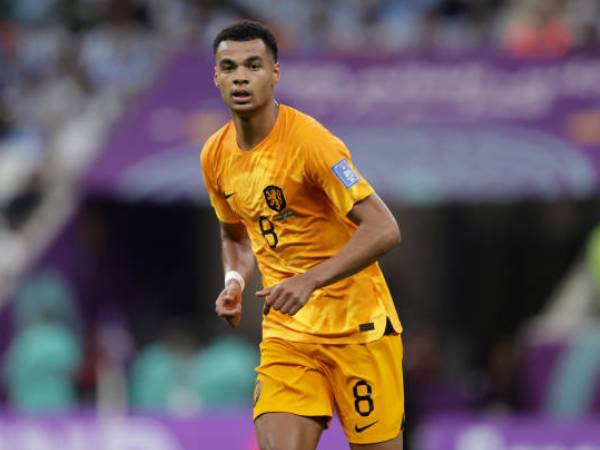 Eredivisie Kirim Pesan ke Cody Gakpo Jelang Transfernya ke Liverpool