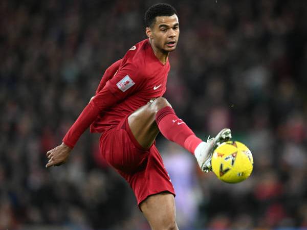 Gakpo Gabung ke Liverpool, Eks Bos PSV Bingung