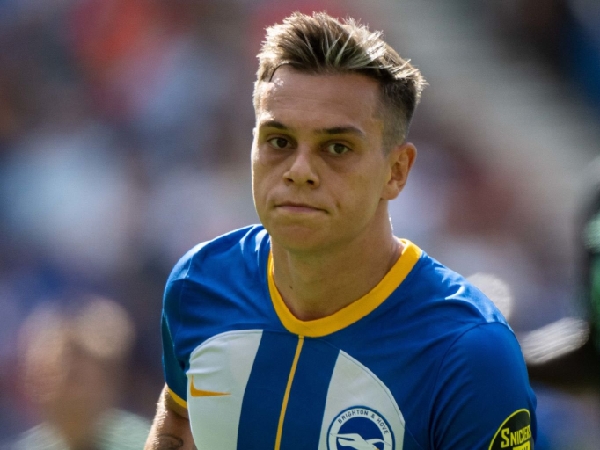 Leandro Trossard dicoret dari skuat Brighton melawan Liverpool