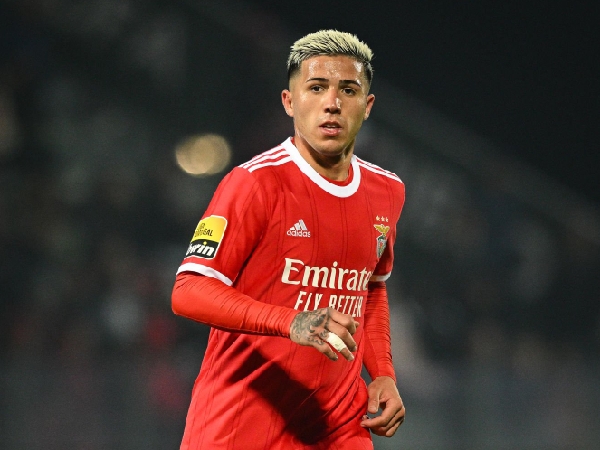 Benfica ingin memagari Enzo Fernandez dari kejaran Chelsea