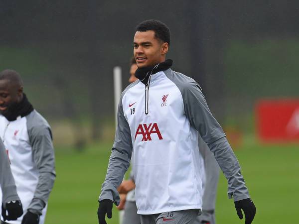 Gakpo Nilai Liverpool Perlu Buktikan Diri Ketika Jumpa Brighton