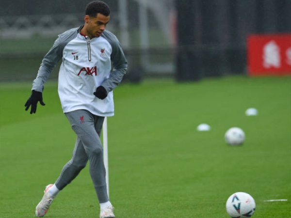 Gakpo Bicara Tentang Satu Bulan Pertamanya di Liverpool