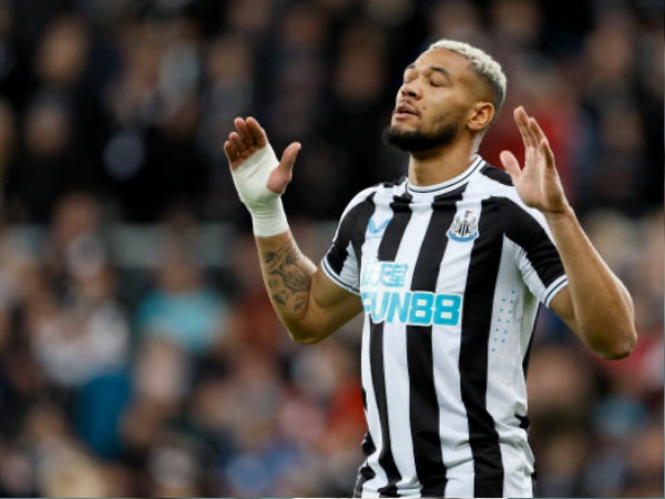 Brasil Akan Panggil Joelinton yang Tampil Luar Biasa di Newcastle
