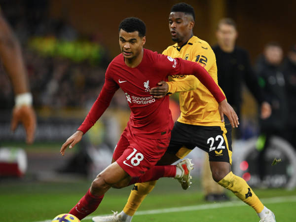 Liverpool Tidak Perlu Panik, Gakpo Adalah Proyek untuk Masa Depan