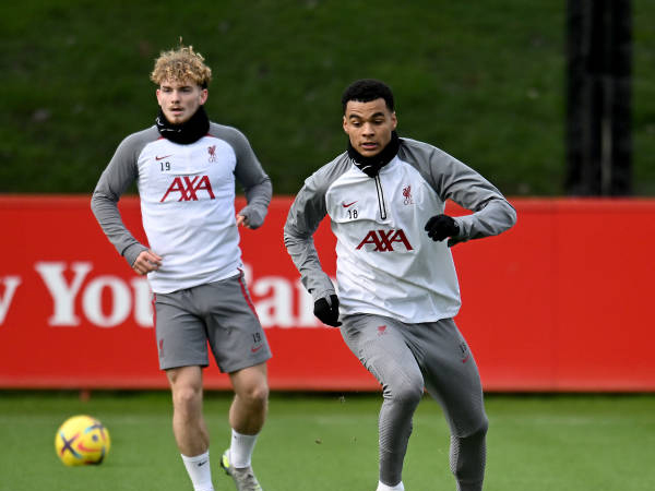 Gakpo Main Jadi Striker di Liverpool, Louis van Gaal Tidak Terkejut