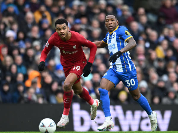 Koeman Nilai Gakpo Terlalu Cepat Pindah ke Liverpool