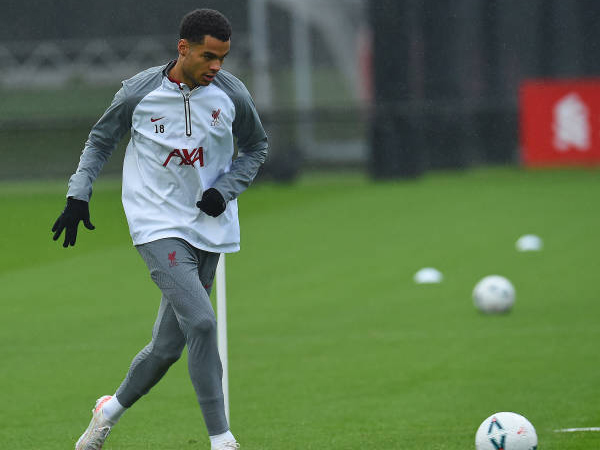 Gakpo Akui Awal Kariernya di Liverpool Berjalan Sulit