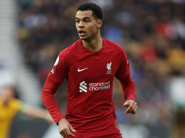 Winger Liverpool, Cody Gakpo.