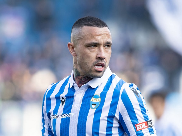 Radja Nainggolan