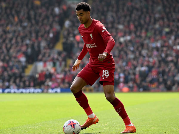 Selama Bisa Bantu Liverpool, Cody Gakpo Tidak Permasalahkan Posisi Bermain