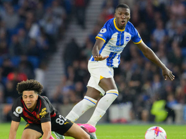 Berapa Harga yang Dipatok Brighton untuk Moises Caicedo?