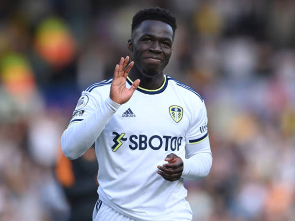 Leeds United Tolak Tawaran Pertama Everton untuk Wilfried Gnonto