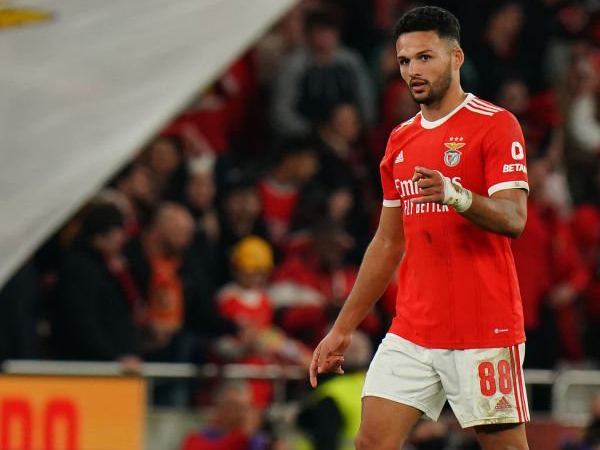 Striker Benfica, Goncalo Ramos.