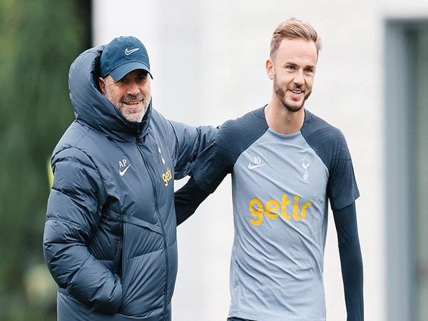 Maddison dan Postecoglou