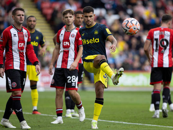 Statistik Menarik Setelah Newcastle United Menang 8-0 Atas Sheffield United
