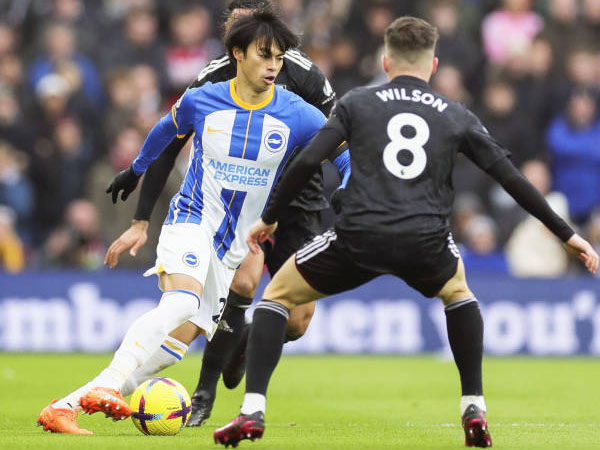 Fakta-Fakta Menarik Jelang Laga Brighton and Hove Albion vs Fulham