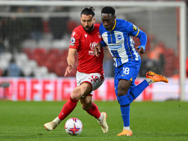 Fakta-Fakta Menarik Jelang Laga Nottingham Forest vs Brighton