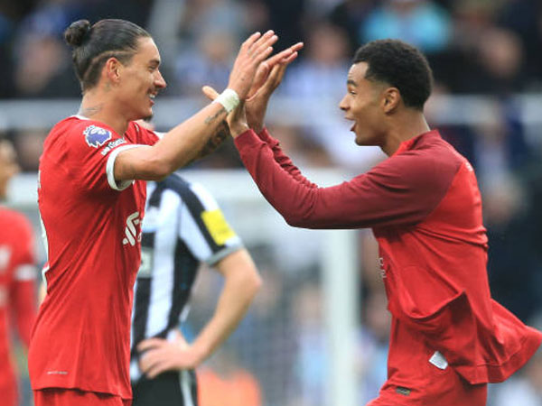 Jurgen Klopp Menolak Narasi Cody Gakpo vs Darwin Nunez