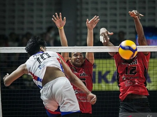 Proliga 2024 Dijadwalkan Berlangsung Mulai 25 April Mendatang. (ANTARA FOTO)