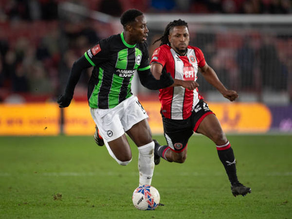 Fakta-fakta Menarik Jelang Laga Sheffield United vs Brighton