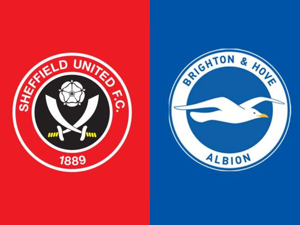 Update Terbaru Berita Tim Jelang Laga Sheffield United vs Brighton
